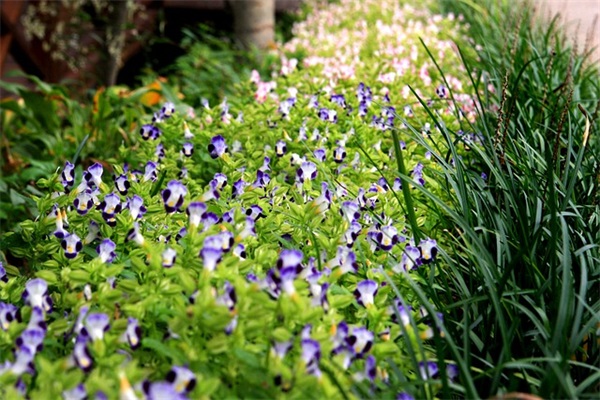 2026第一天上班祝福语文案大全(2026年祝福语文案)