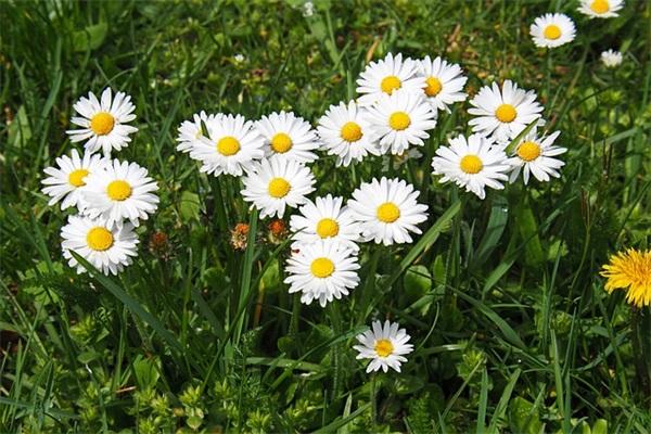 生日快乐祝福语女生