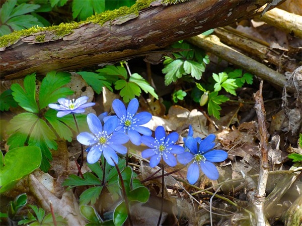 大学毕业祝福语 毕业的句子简单到哭的