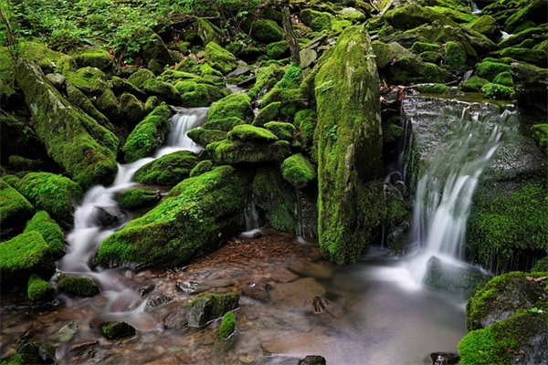 搞怪幽默的生日祝福语