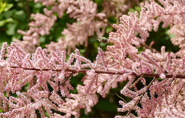 精选的祝福父亲的话语大全 祝福父亲的话语