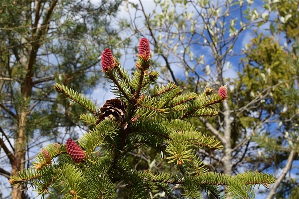 高级简短生日短语 高级的生日祝福20字