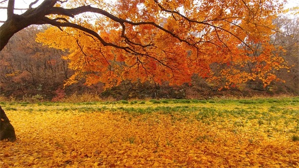 献给最美教师的文案句子2025年（精选推荐）