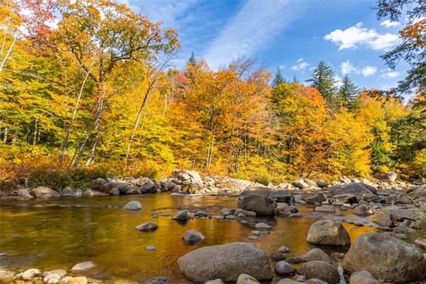 2025立秋朋友圈精彩句子摘抄大全（精选推荐）