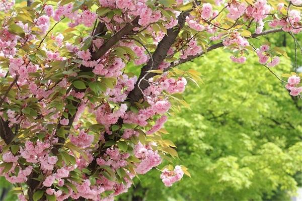 关于形容平静的一天的句子精选77条