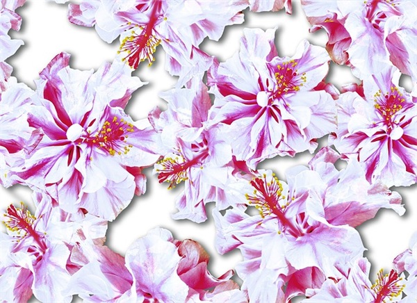 关于成长意义的句子 关于成长的句子加赏析（精选）