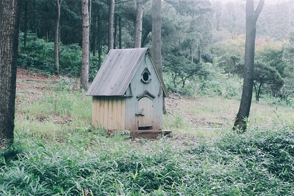 关于人生过客伤感句子精选69条（全网精选）