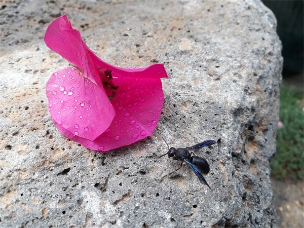 关于班级团结友爱的句子精选92条（精选）