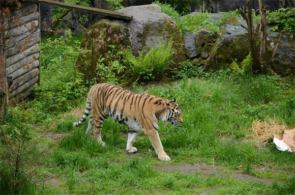 伤心又励志的句子