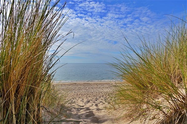 赞美美好生活的句子26句