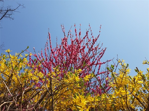 通用雨优美句子