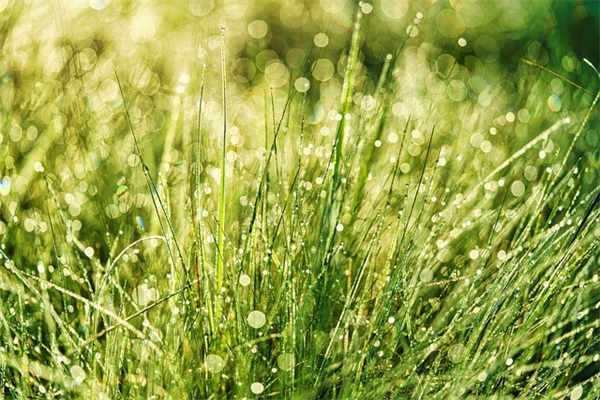 分手离别伤感的句子76句