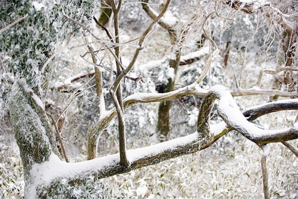 意境优美的现代句子