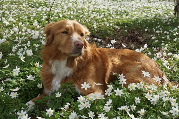 爱心的句子86句