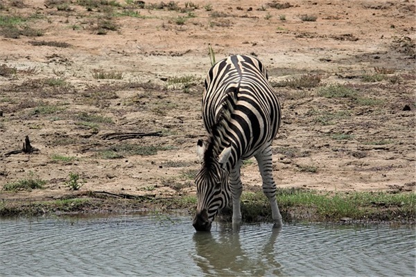 关于自己做自己的句子