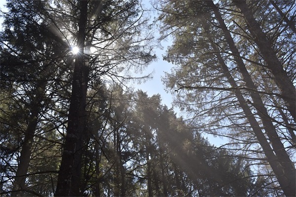 关于阳光的励志句子 青春无悔的励志句子