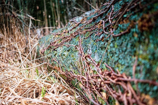 生日快乐的简短句子