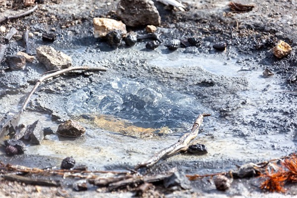 向人表白的浪漫句子