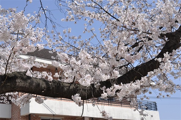 60大寿祝福语简短 60大寿祝福语简短精辟