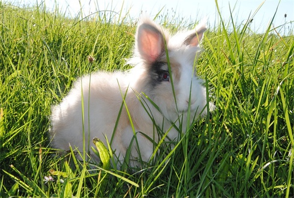 高考祝福语短句50句