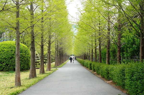 伤感的祝福语 伤感的祝福