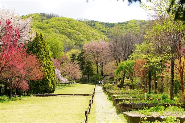 2026年的祝福语英文