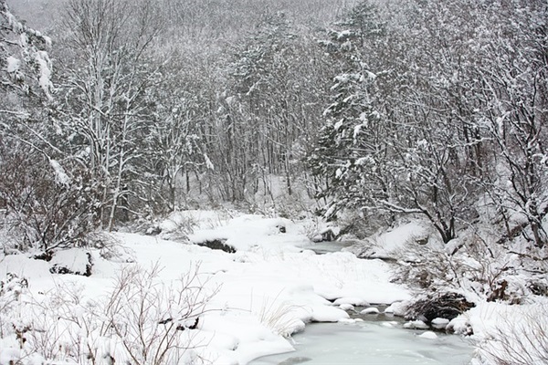 幼儿祝老师元旦快乐祝福语 幼儿园给老师的元旦