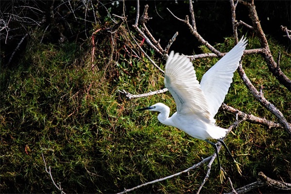 给自己的生日祝福语 送给自己的生日祝福语