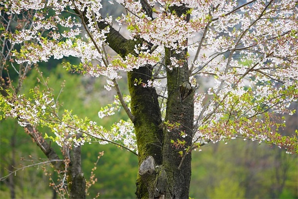 对老公的祝福语新年45句