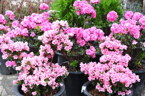 恋爱三周年的祝福语45句