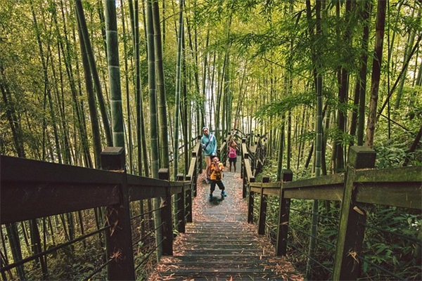 参加新工作祝福语63句