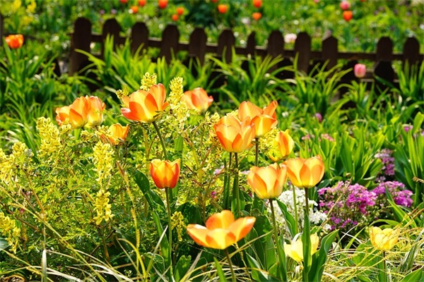 对小宝贝满月祝福语44句