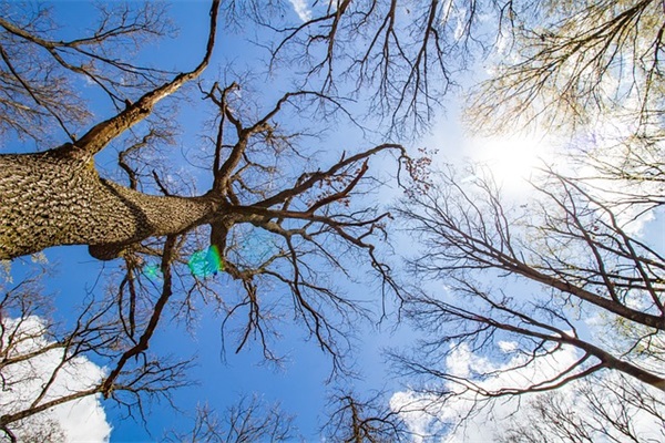 给朋友英文祝福语