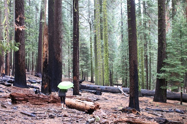2026年工厂开工祝福语40句