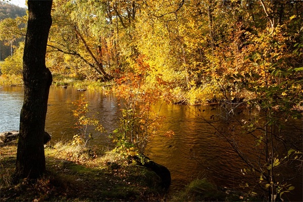 2026过春节祝福语简短话 2026年春节祝福语字