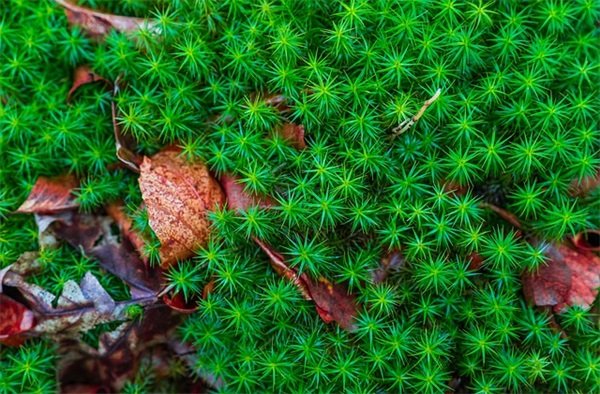 前男友新婚祝福语50句