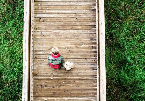 给老师的祝福语大全