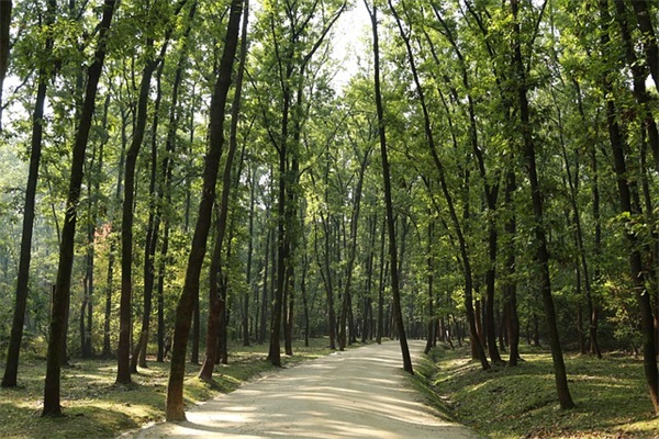 恋爱两周年纪念日文案(结婚纪念日祝福文案)