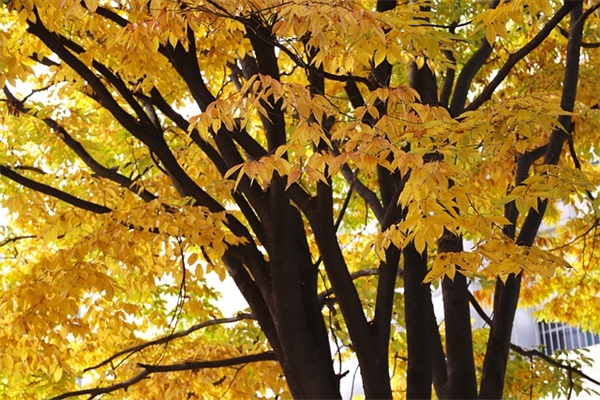 敬酒祝福语90句