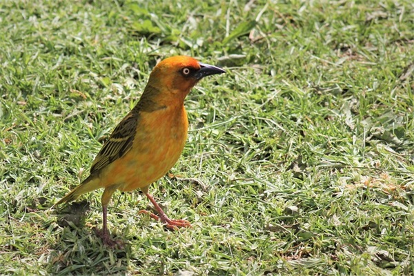 对中班幼儿的祝福语46句