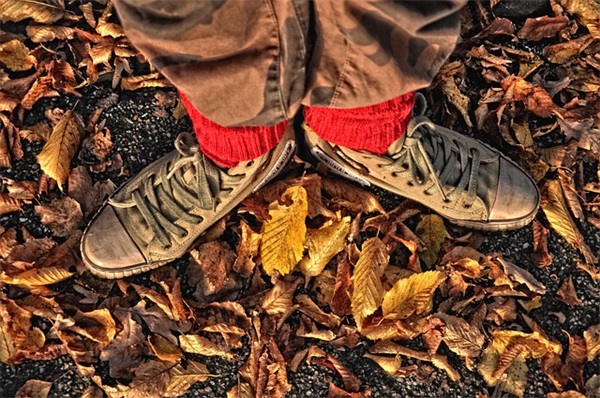 逗比结婚祝福语 逗比的新婚祝福语