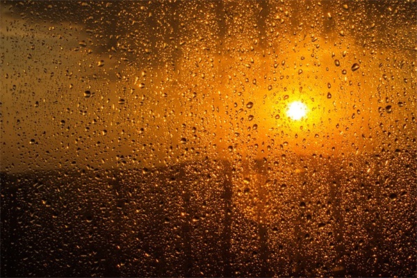 新年字的祝福语 新年祝福语