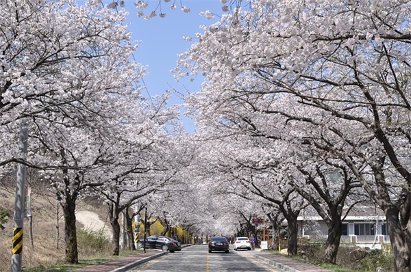 2026喜迎512国际护士节祝福语 最佳拜年祝福语
