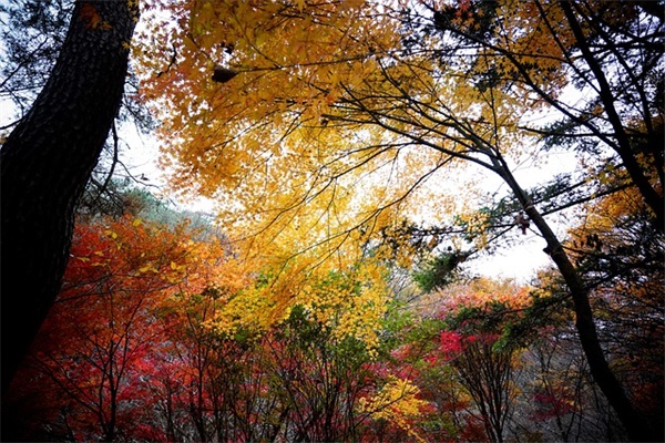 元旦愉快短信祝福语