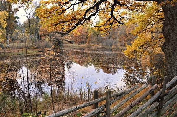 亲人搬新房祝福语 搬新房的祝福语