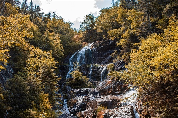 关于五月的祝福句子 牛字四字的祝福语
