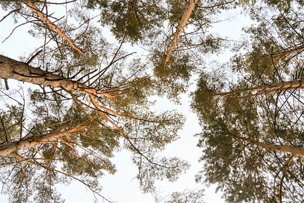 踏上旅途的祝福语40句