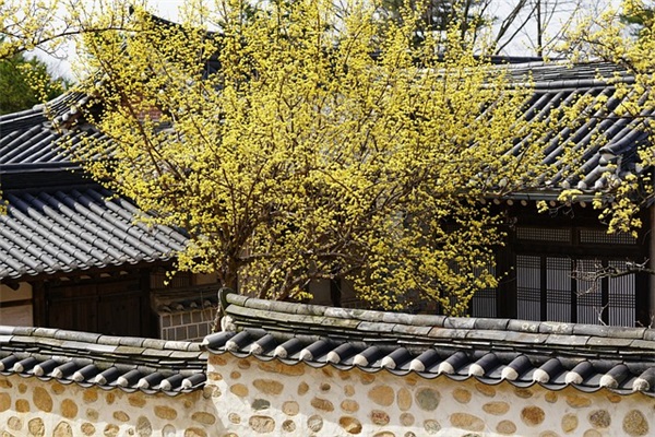 高考祝福语和鼓励的话8字