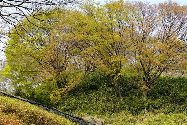 高考祝福语和鼓励的话8字