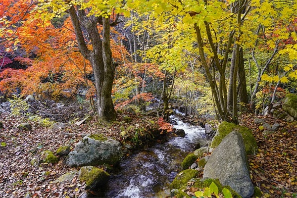 朋友订婚的祝福语44句